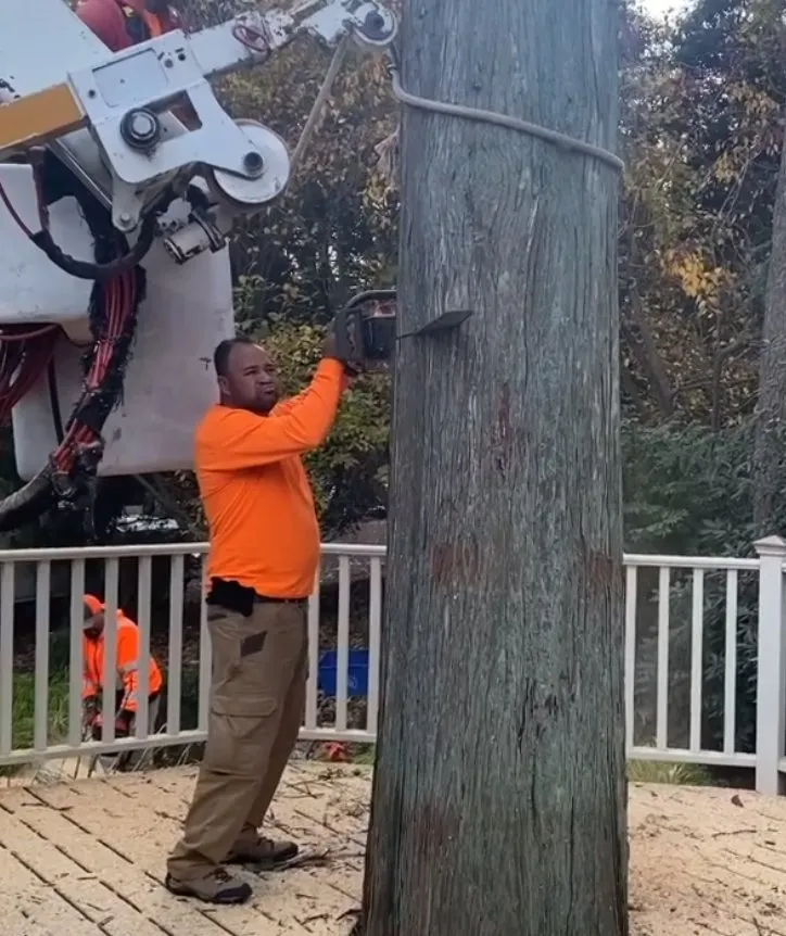 Professional landscape design for year-round maintenance across Norwalk, CT - North Greeny Landscaping