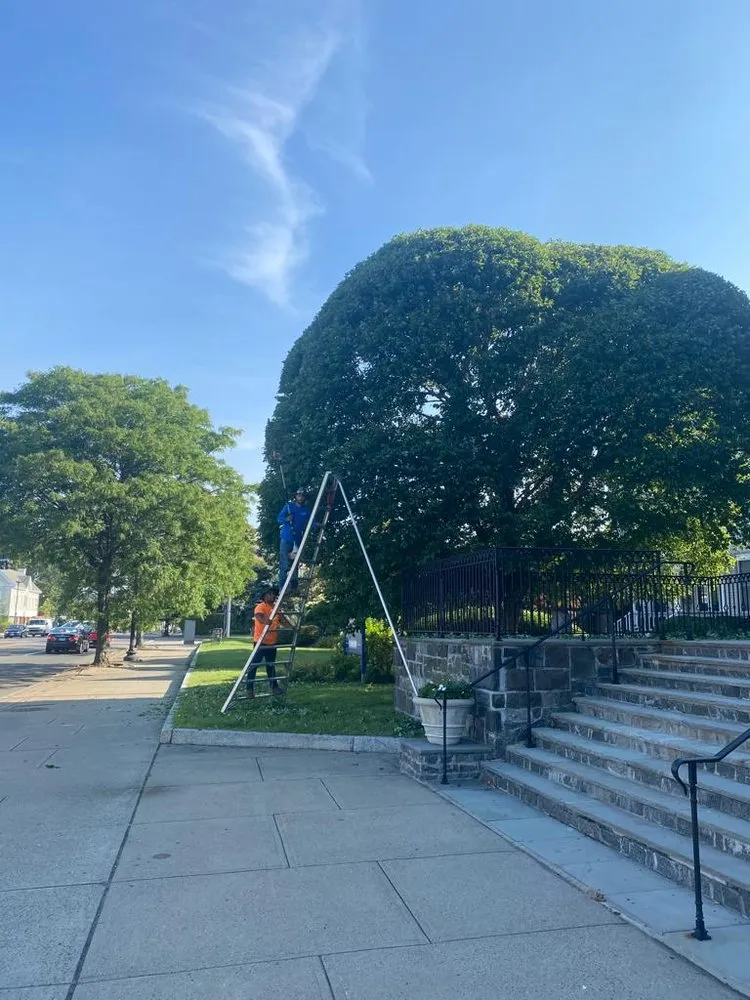 Custom landscape installation experts serving Norwalk, CT - North Greeny Landscaping