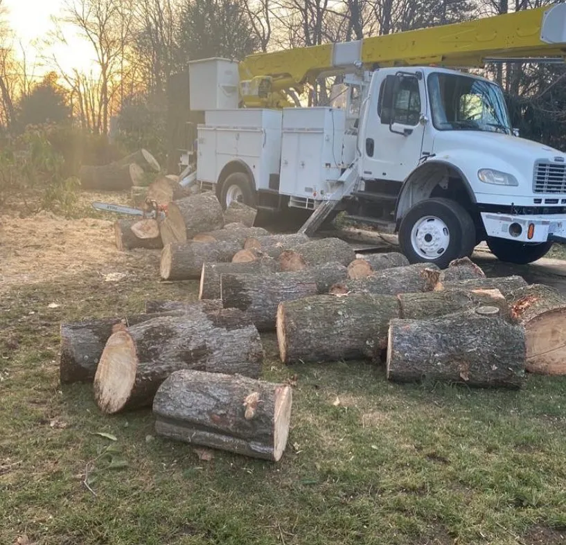 Professional landscape installation in Norwalk, CT - North Greeny Landscaping