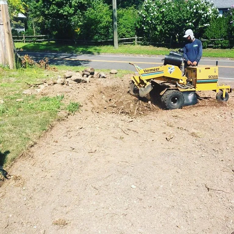 Reliable garden landscaping in Norwalk, CT - North Greeny Landscaping