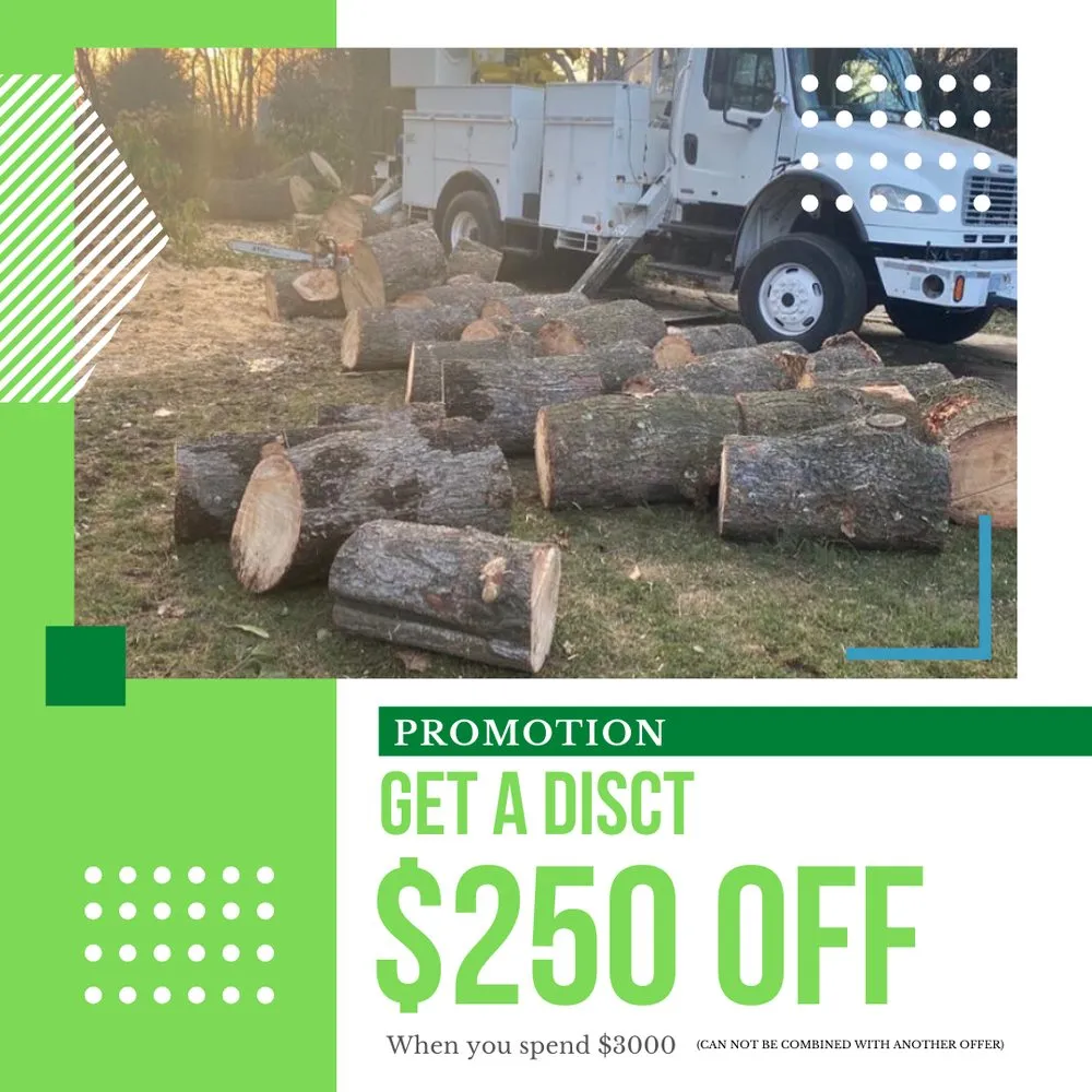 Professional garden landscaping in Norwalk, CT by North Greeny Landscaping