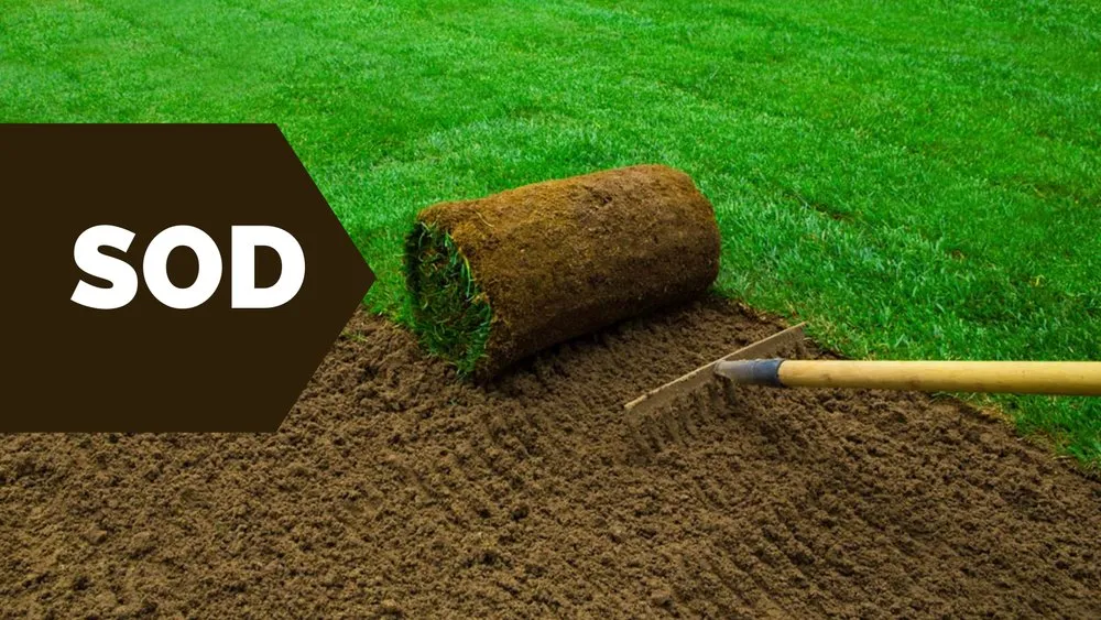 Custom garden landscaping for beautiful yards across Norwalk, CT - North Greeny Landscaping