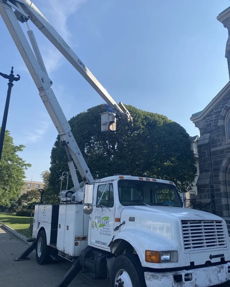 Custom yard maintenance experts serving Norwalk, CT - North Greeny Landscaping