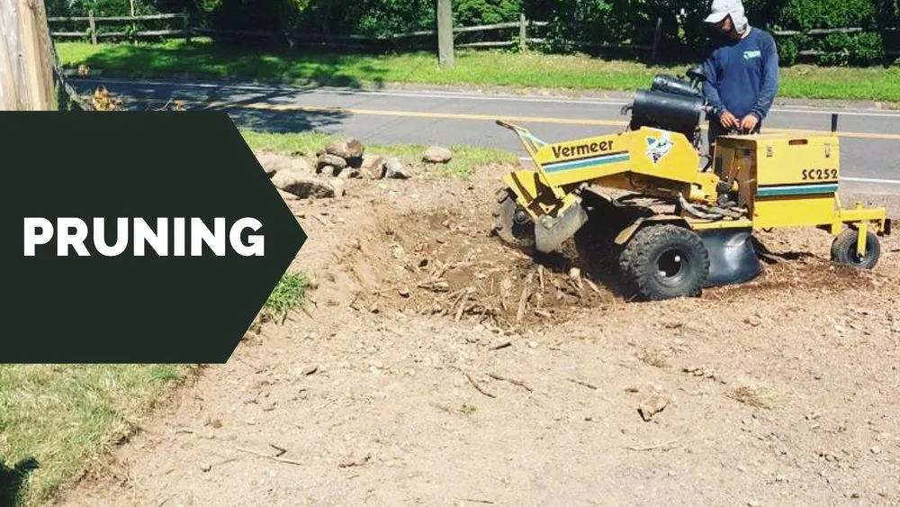 Local landscaping services experts serving Norwalk, CT - North Greeny Landscaping