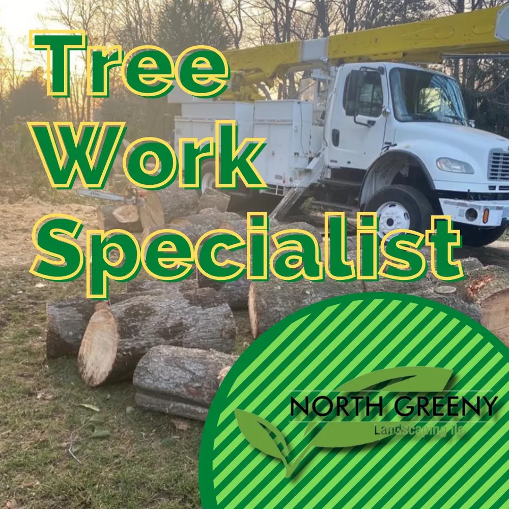 Expert yard maintenance in Norwalk, CT - North Greeny Landscaping