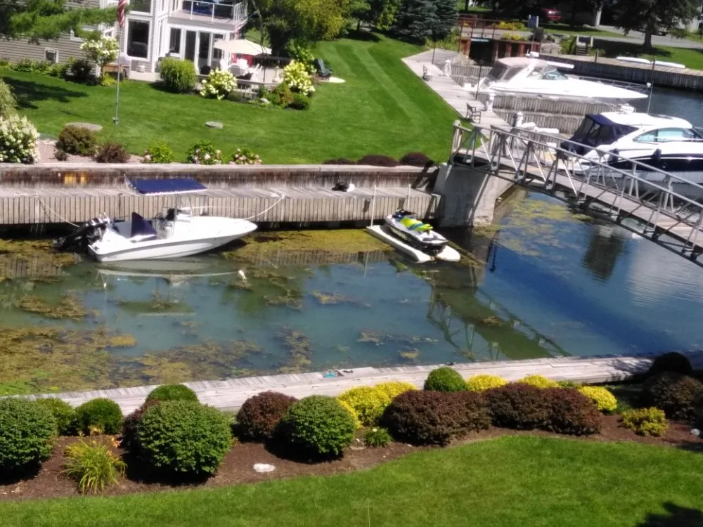 Reliable lawn care service experts serving Carthage, NY - North Hawk Enterprises