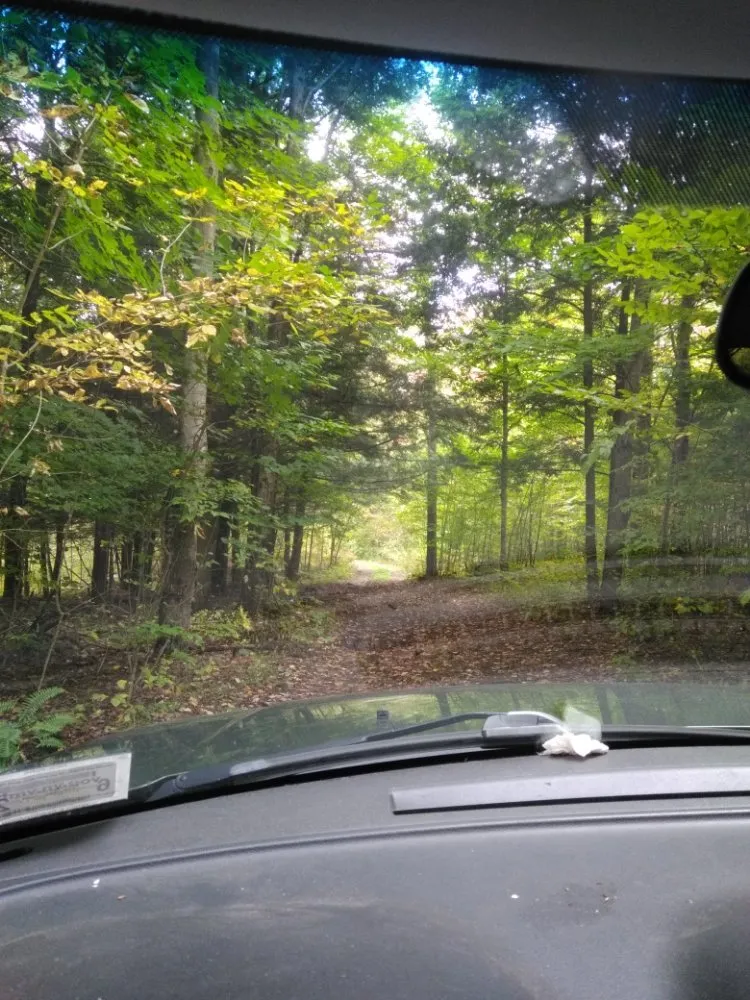 Local lawn care service for residential properties across Carthage, NY - North Hawk Enterprises