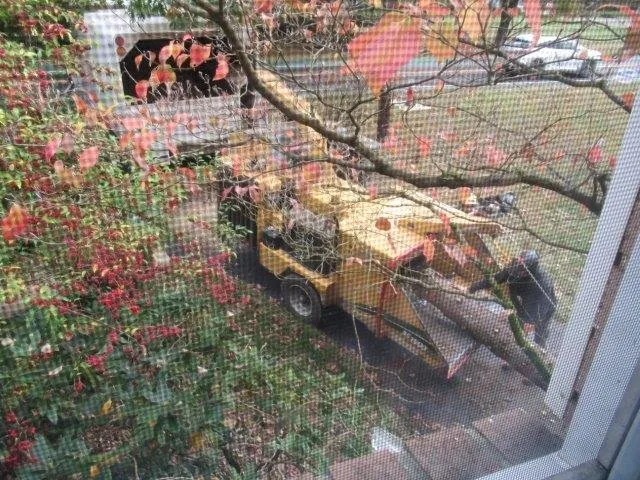 Custom yard cleanup service for outdoor upgrades in Gibsonia, PA by North Hills Tree Service