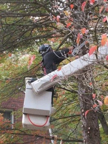 Reliable landscaping services with custom design in Gibsonia, PA by North Hills Tree Service