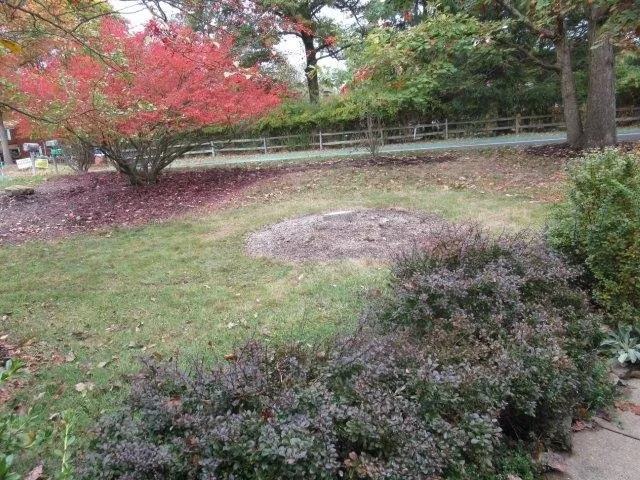 Top-rated lawn care service for beautiful yards across Gibsonia, PA - North Hills Tree Service