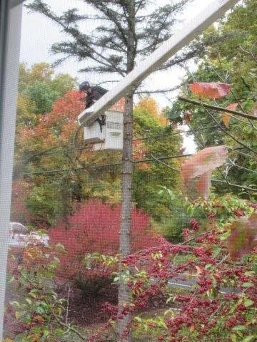 Professional landscape installation in Gibsonia, PA - North Hills Tree Service