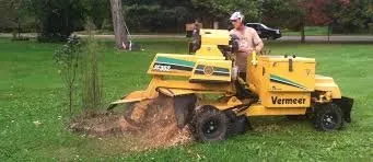 Trusted lawn care service in Gibsonia, PA by North Hills Tree Service