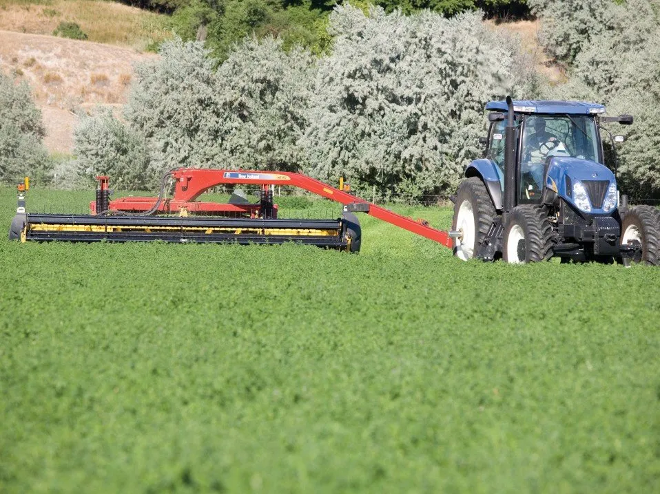 Top-rated yard cleanup service in Gibsonia, PA by North Hills Tree Service