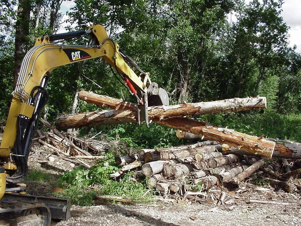 Professional landscape design in Gibsonia, PA - North Hills Tree Service