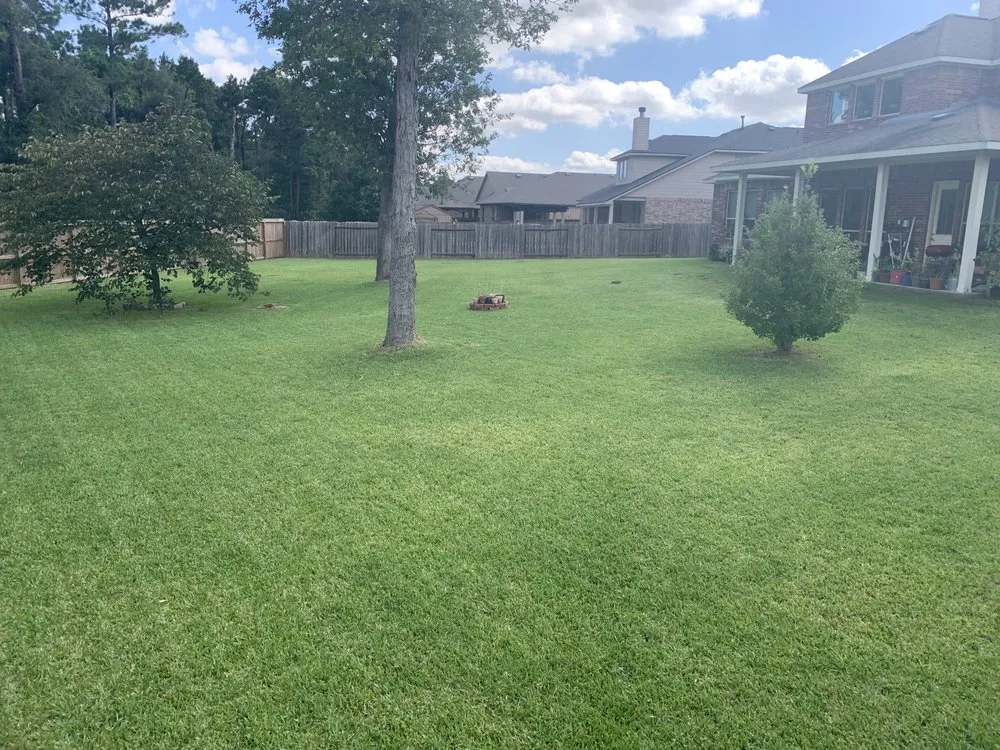 Reliable lawn mowing service for year-round maintenance in Porter, TX by North Houston Lawn Care