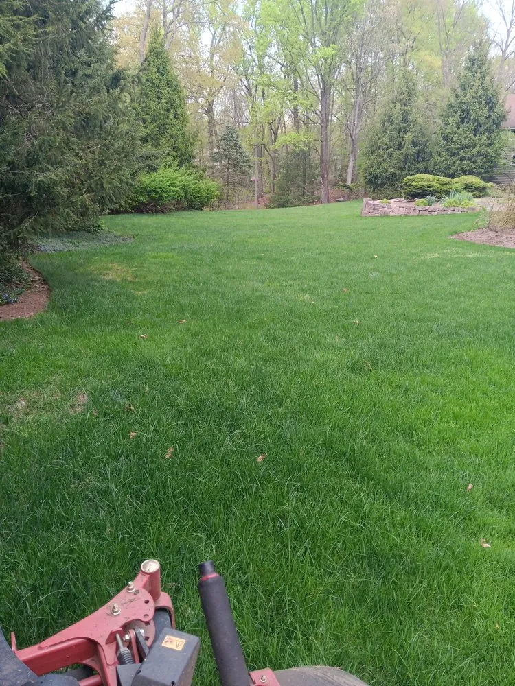 Custom landscaping services in Paterson, NJ - North Jersey Landscaping Expert