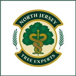 North Jersey Tree Experts