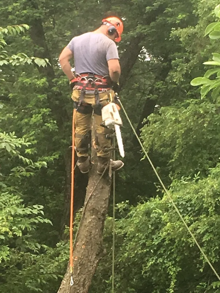 Local garden landscaping experts serving Wayne, NJ - North Jersey Tree Specialists