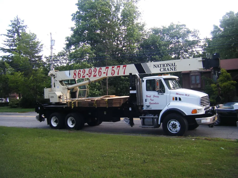 Trusted lawn care service in Wayne, NJ - North Jersey Tree Specialists