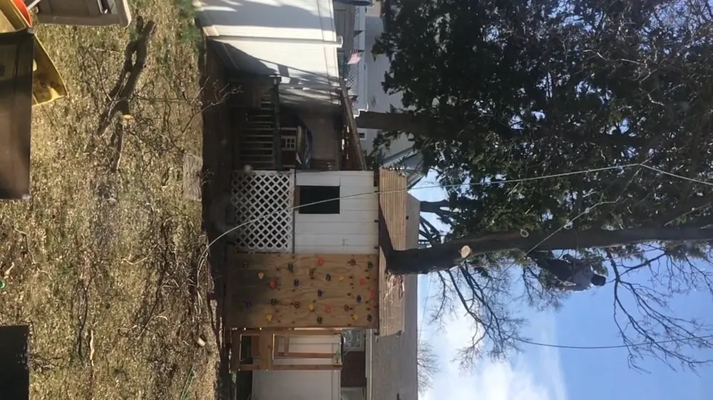 Affordable lawn care service in Wayne, NJ - North Jersey Tree Specialists