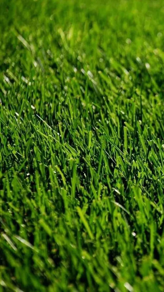 Trusted landscape installation in Nashwauk, MN - North Lakes Lawn