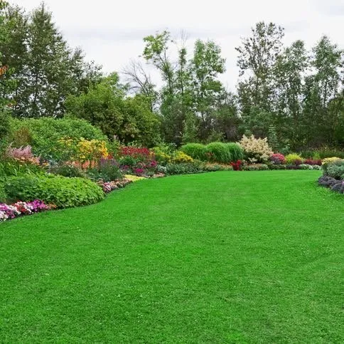 Expert lawn care service for outdoor upgrades in Boise, ID by North Lawn Care