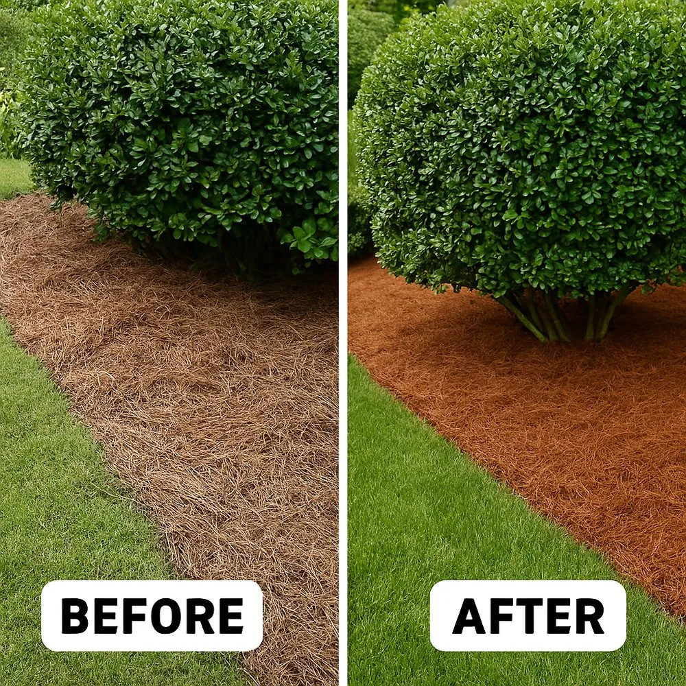 Top-rated residential landscaping for year-round maintenance across Kannapolis, NC - North Meck Cabarrus Exteriors