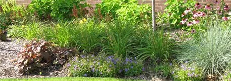 Local outdoor landscaping in Medina, MN - North Metro Companies