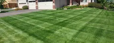 Top-rated landscape design experts serving Andover, MN - North Metro Outdoor Services