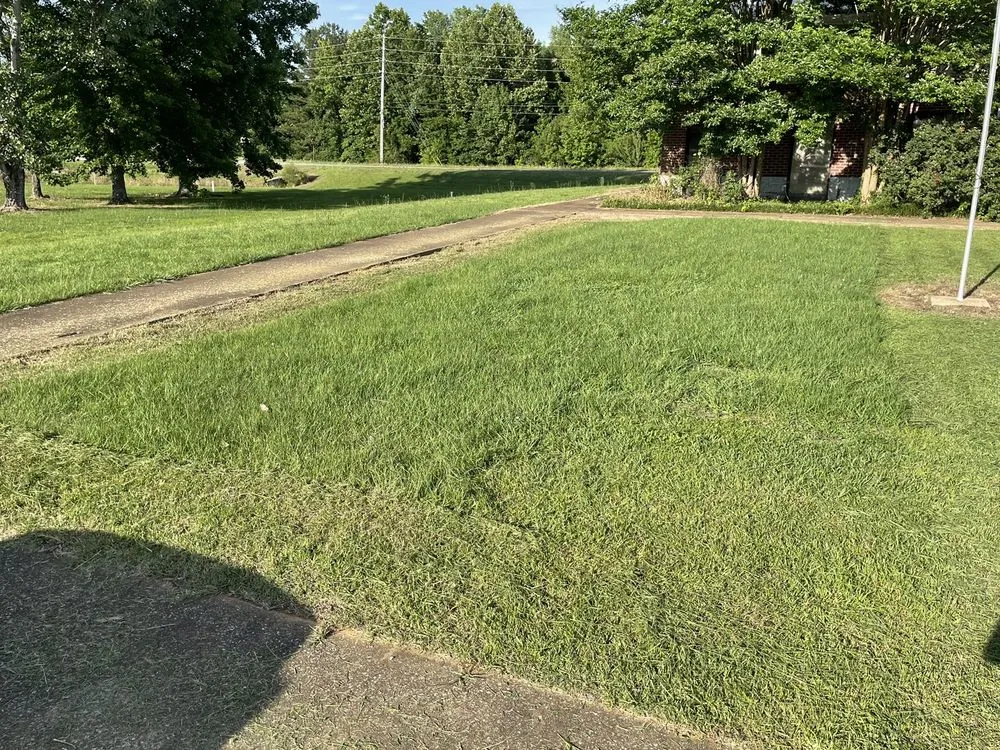 Trusted yard maintenance near you in Glen, MS by North Ms Lawn Care