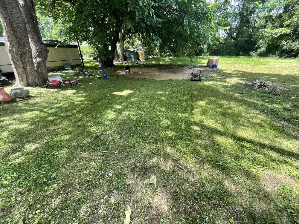 Local landscape design near you across Glen, MS - North Ms Lawn Care
