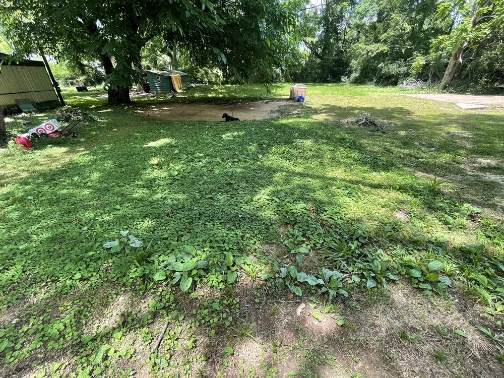 Expert landscape installation in Glen, MS - North Ms Lawn Care