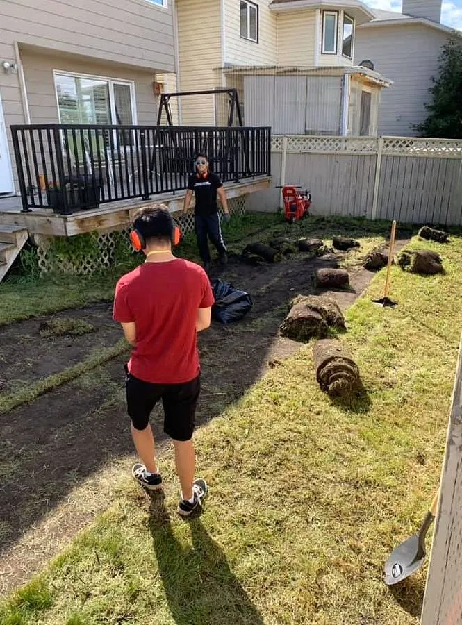 Trusted garden landscaping experts serving Orlando, FL - North Orlando Lawn Care