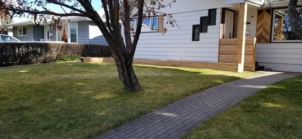 Top-rated lawn care service in Orlando, FL - North Orlando Lawn Care