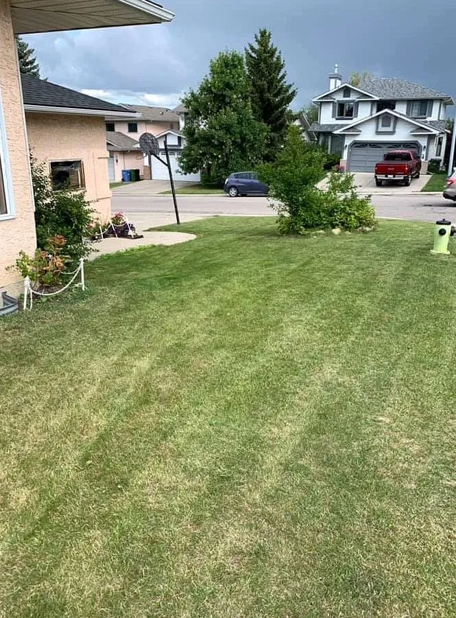 Affordable outdoor landscaping experts serving Orlando, FL - North Orlando Lawn Care