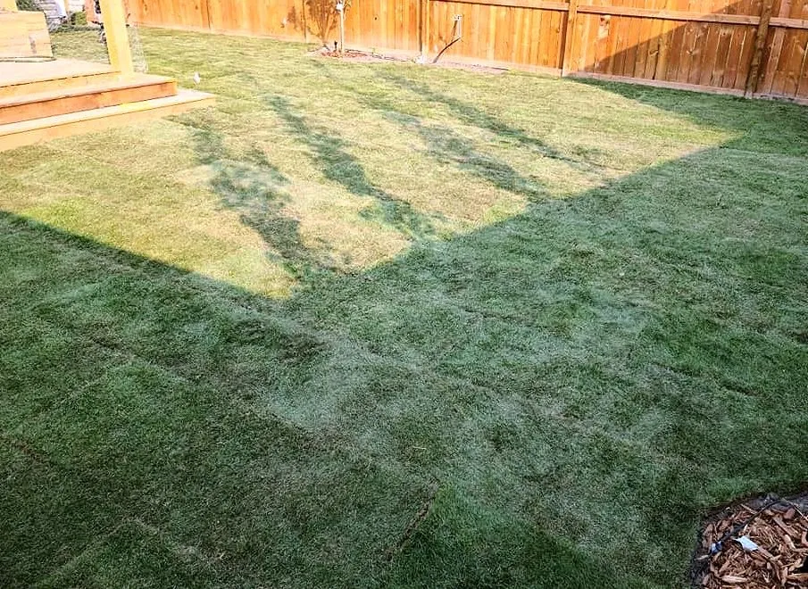 Professional landscape installation in Orlando, FL - North Orlando Lawn Care