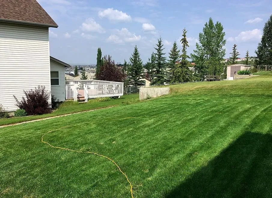 Affordable yard maintenance for residential properties in Orlando, FL by North Orlando Lawn Care