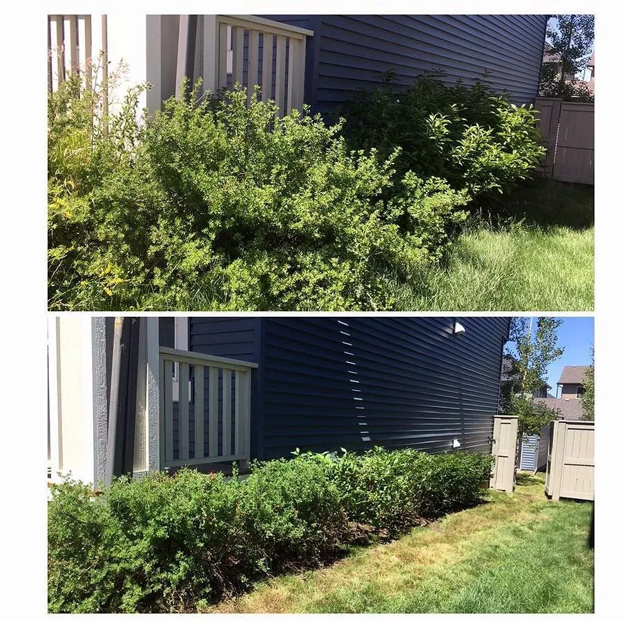 Custom residential landscaping for year-round maintenance in Orlando, FL by North Orlando Lawn Care