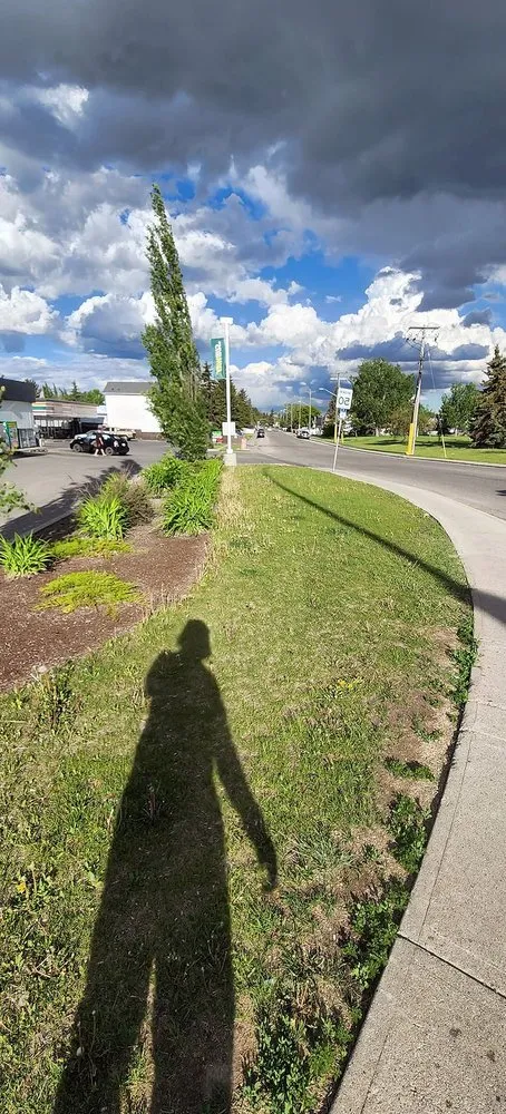 Top-rated garden landscaping for residential properties in Orlando, FL by North Orlando Lawn Care