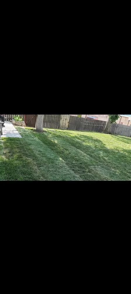 Expert outdoor landscaping for beautiful yards across Orlando, FL - North Orlando Lawn Care