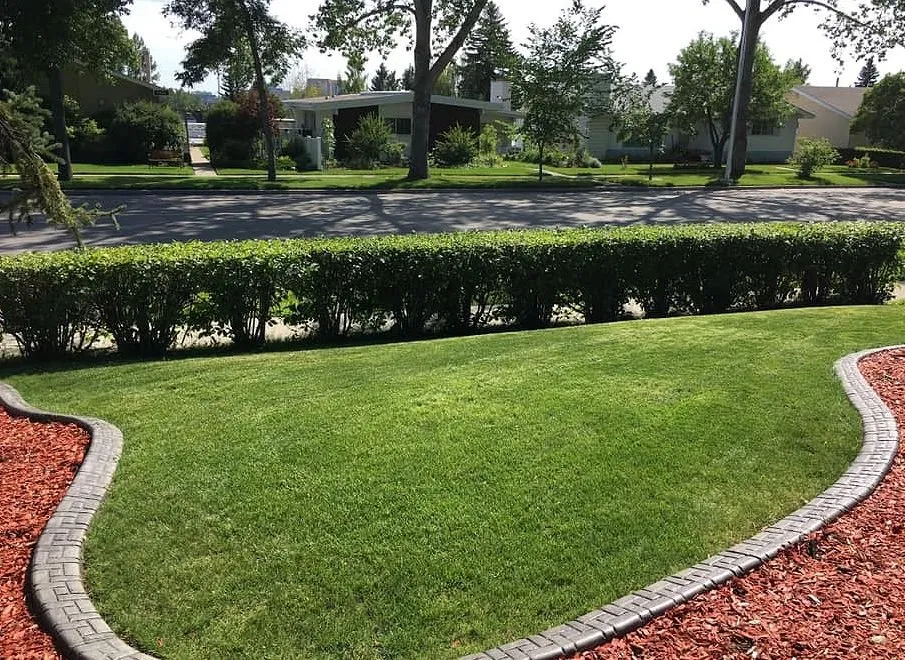 Custom outdoor landscaping in Orlando, FL by North Orlando Lawn Care