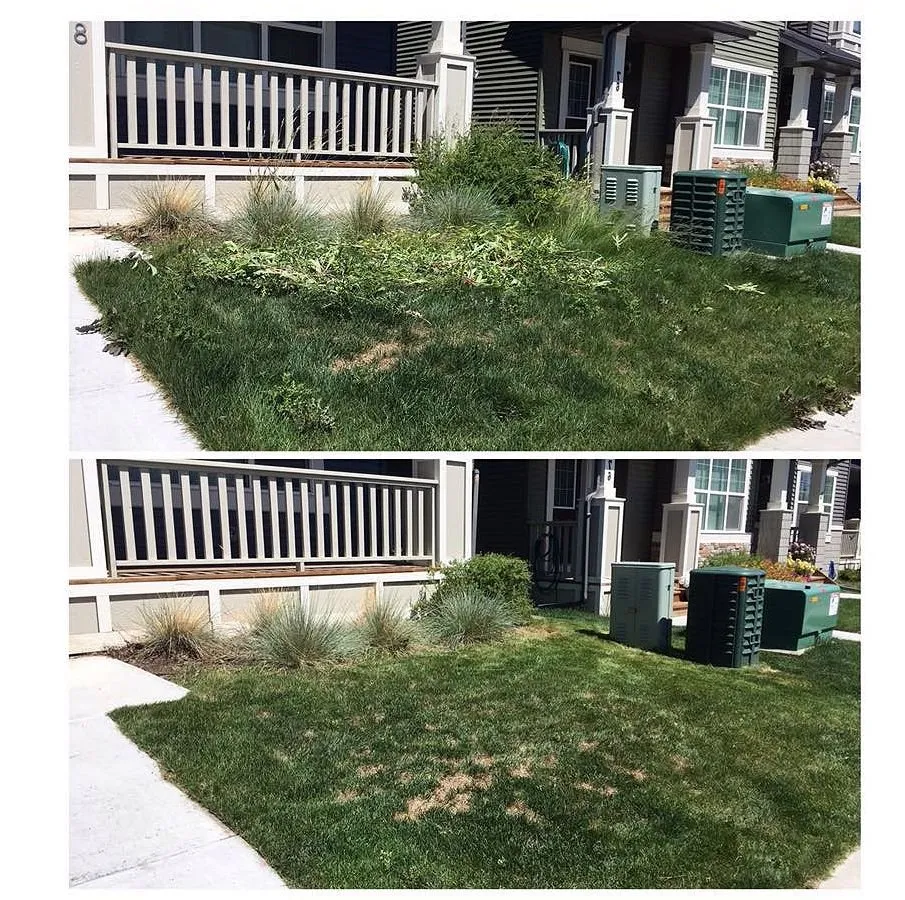 Local garden landscaping for residential properties across Orlando, FL - North Orlando Lawn Care