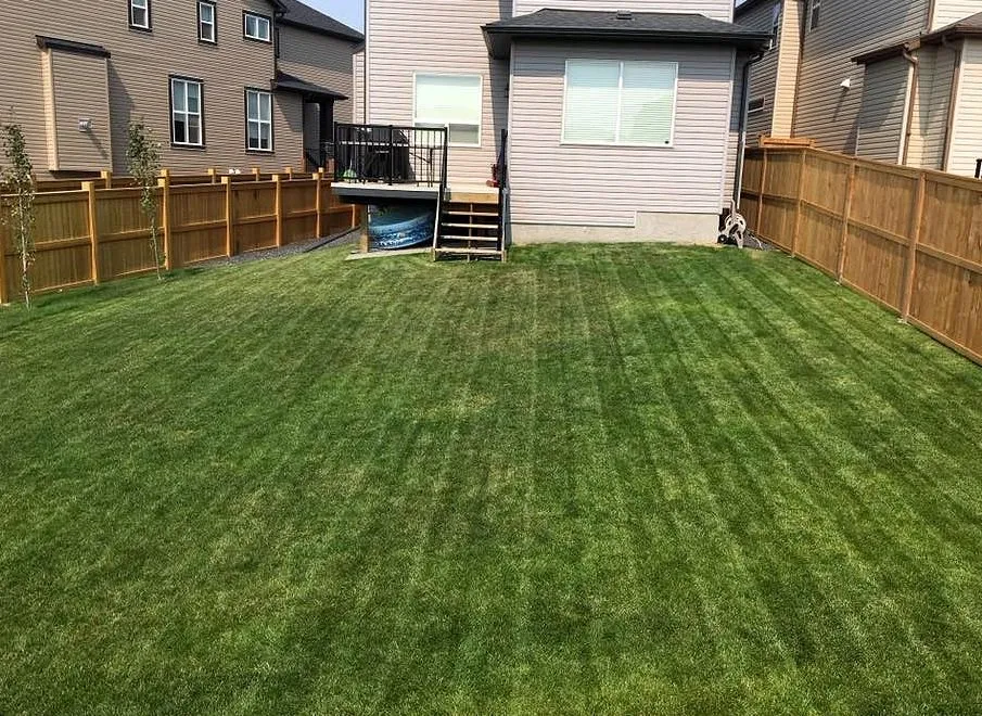 Professional landscape installation experts serving Orlando, FL - North Orlando Lawn Care