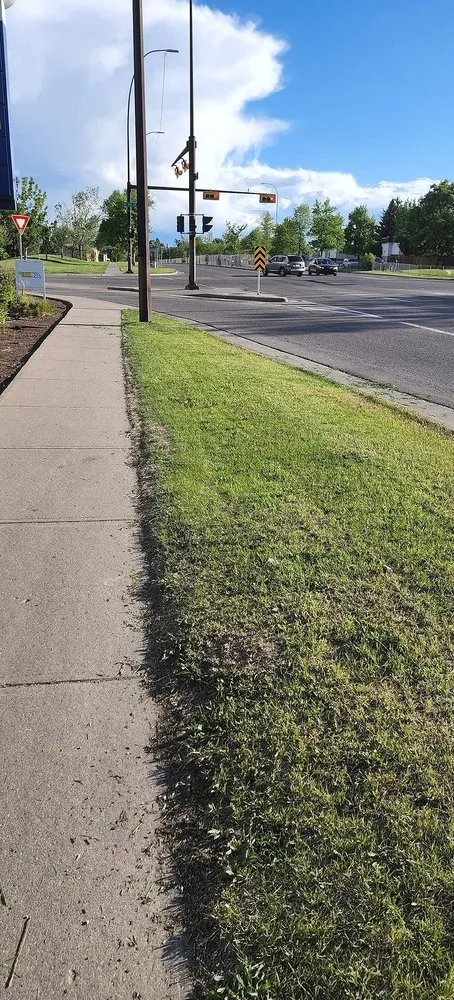 Custom outdoor landscaping experts serving Orlando, FL - North Orlando Lawn Care