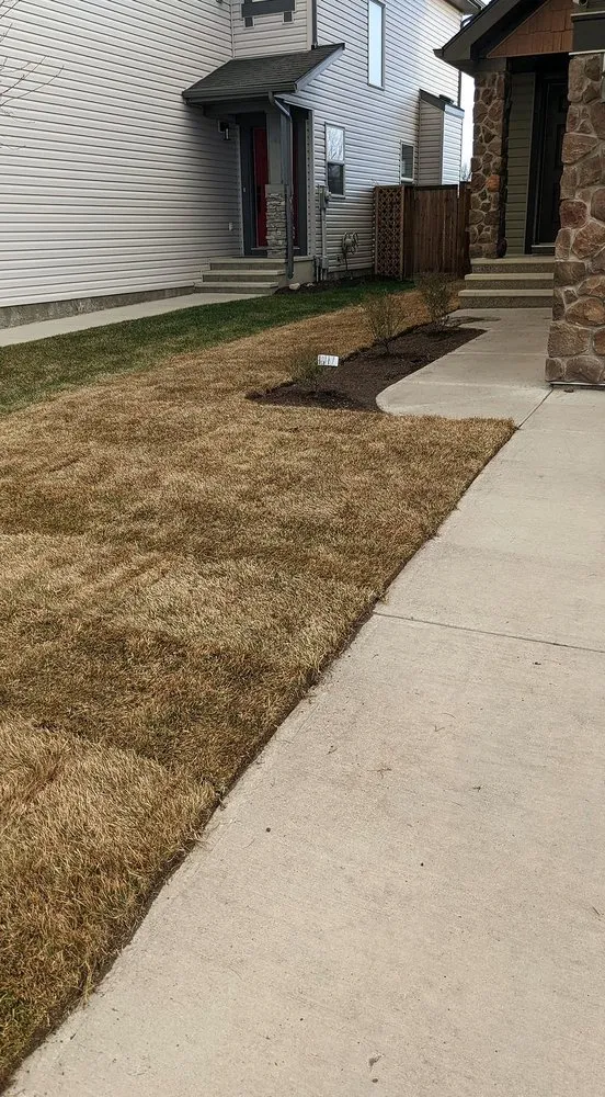 Top-rated lawn care service experts serving Orlando, FL - North Orlando Lawn Care