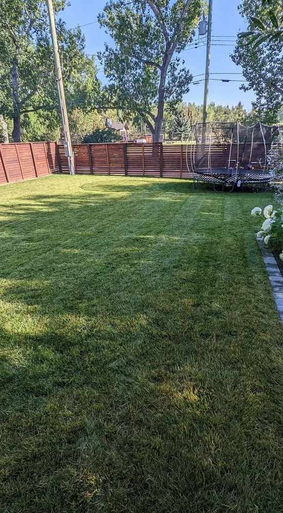 Professional yard cleanup service experts serving Orlando, FL - North Orlando Lawn Care