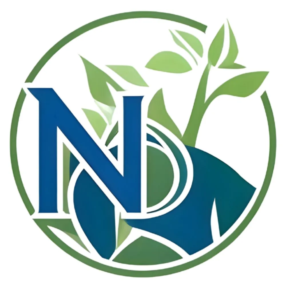 Reliable landscaping services in Orlando, FL - North Orlando Lawn Care