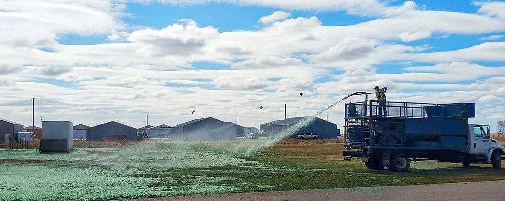 Top-rated yard maintenance with custom design in Orlando, FL by North Orlando Lawn Care