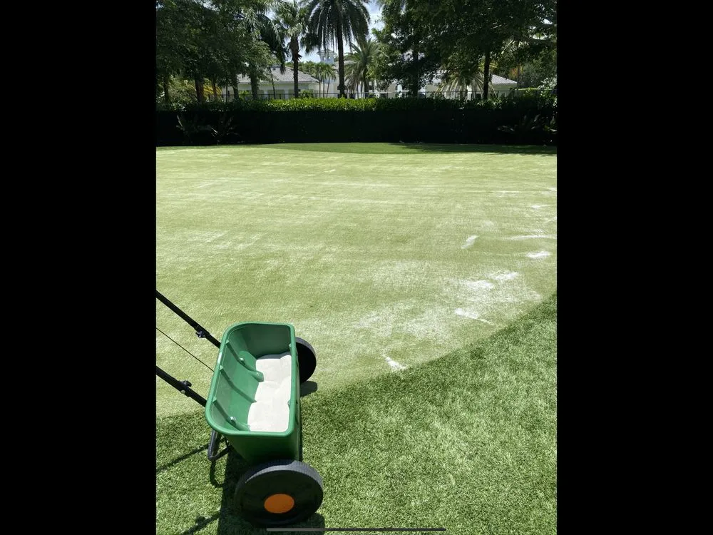 Affordable lawn mowing service in North Palm Beach, FL by North Palm Beach Turf Cleaning