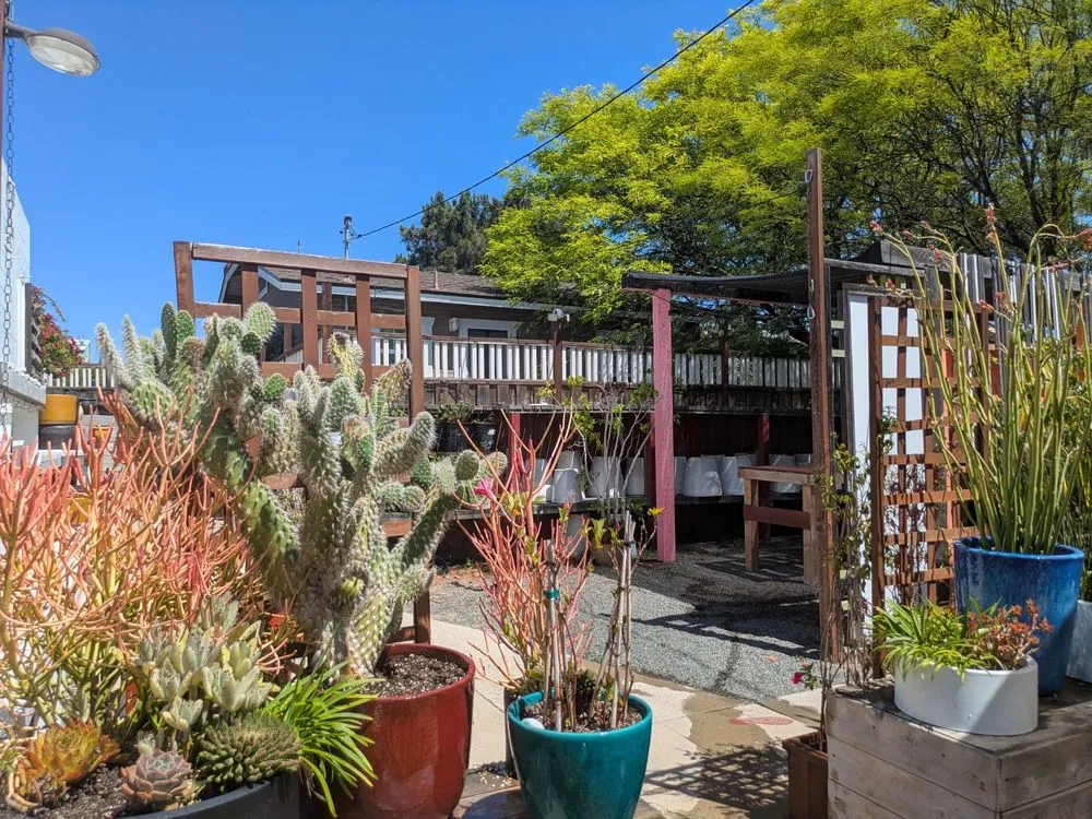 Local garden landscaping for beautiful yards in San Diego, CA by North Park Nursery